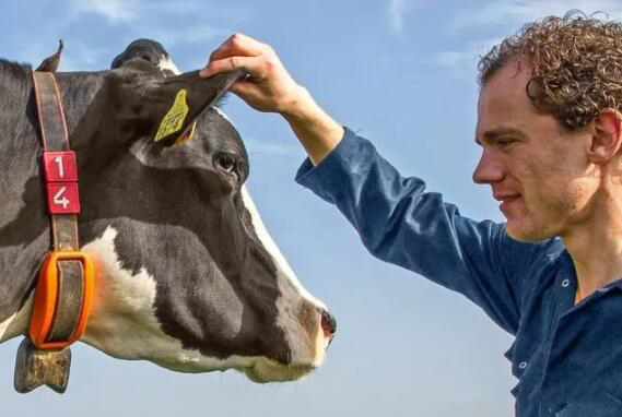 畜業智能穿戴.jpg 畜業智能穿戴.jpg